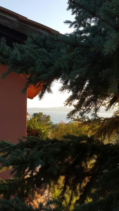 Casale Citerno Lejlighed Bolsena Eksteriør billede