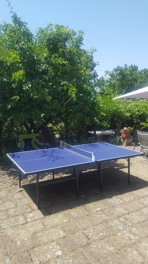 Casale Citerno Lejlighed Bolsena Eksteriør billede