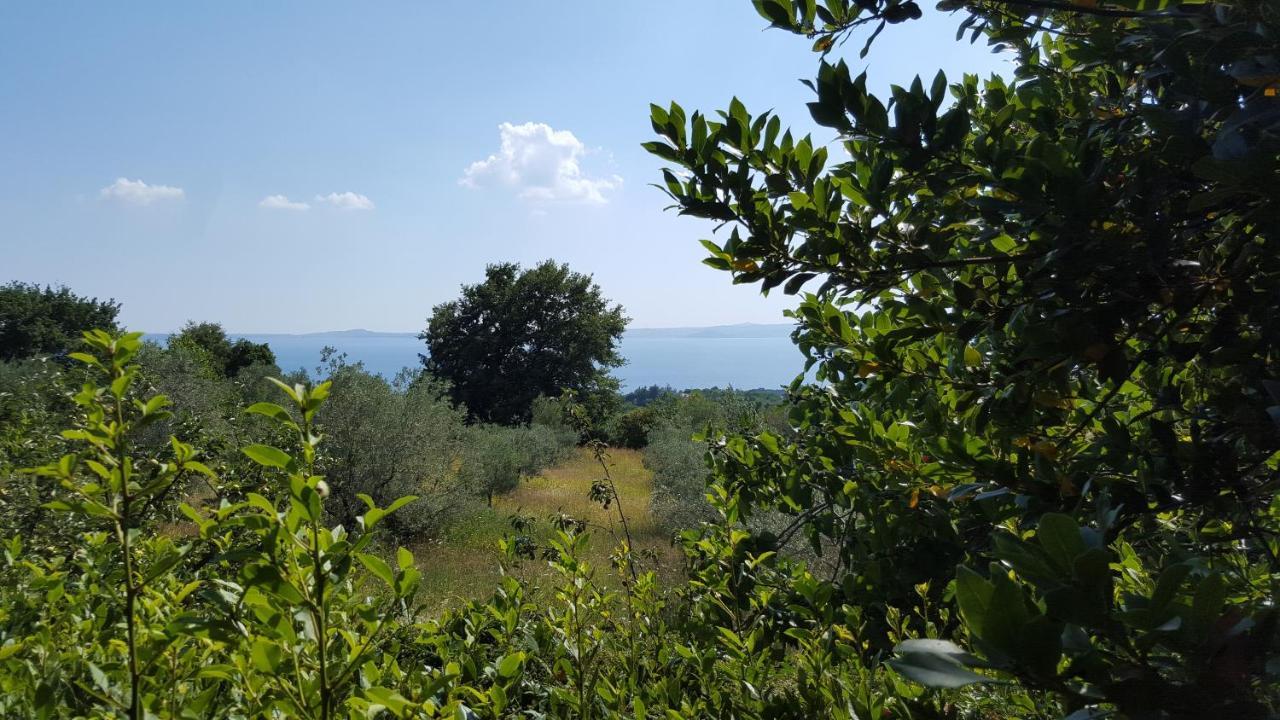 Casale Citerno Lejlighed Bolsena Eksteriør billede