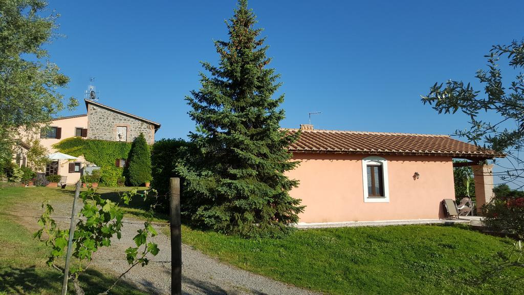 Casale Citerno Lejlighed Bolsena Eksteriør billede